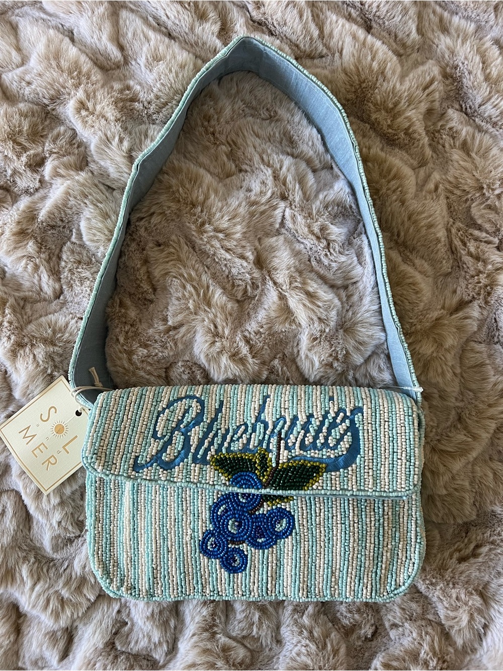 NWT New Release Sol & Mer Blueberries Beaded Shoulder Bag
